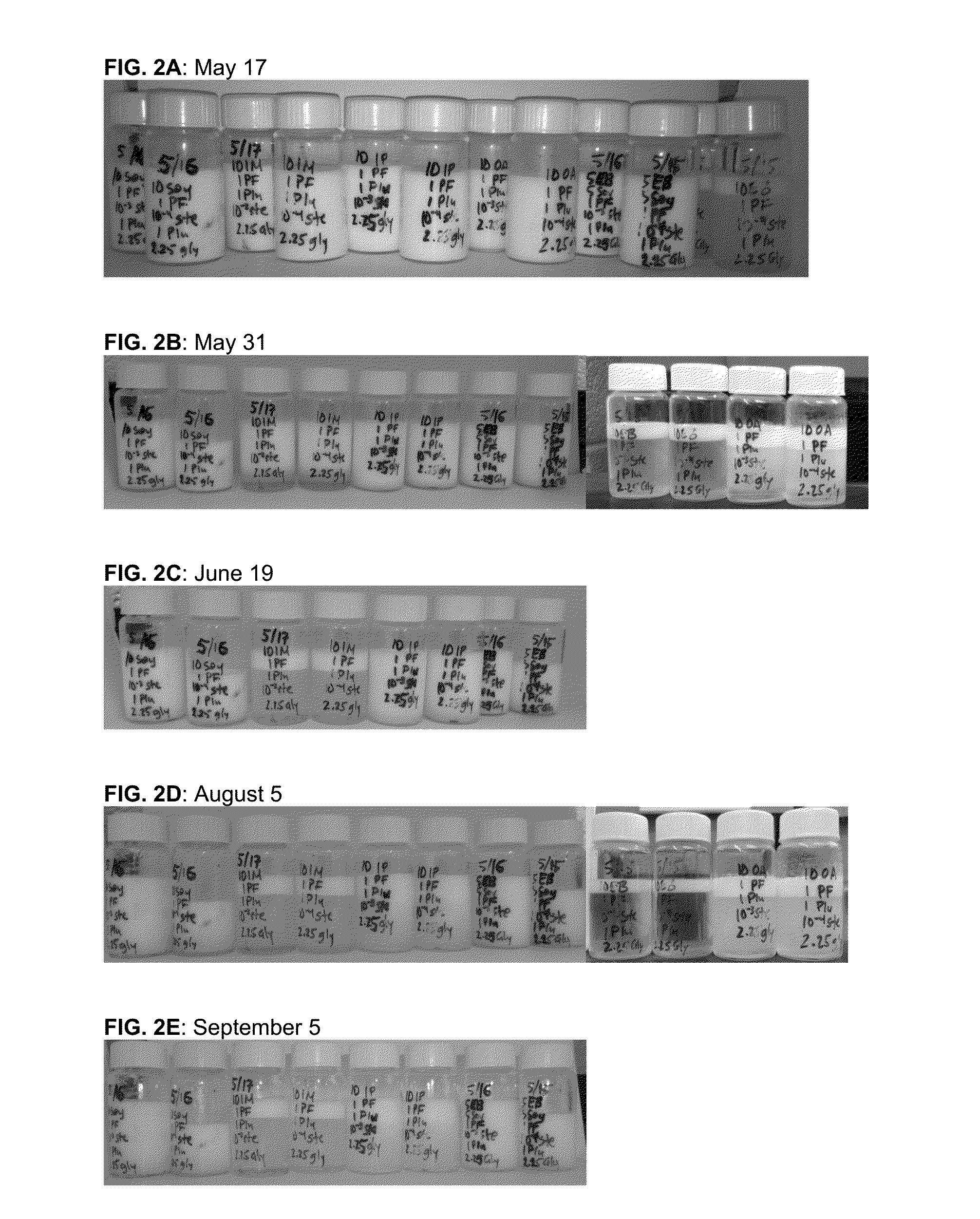 Emulsion containing two oils and stabilizers