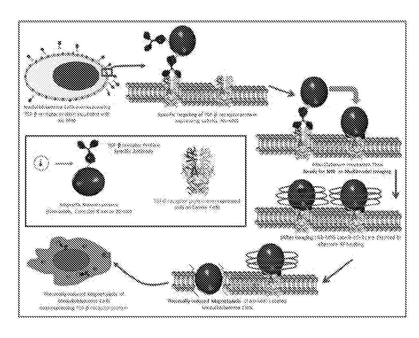 Magnetic nanostructures as theranostic agents