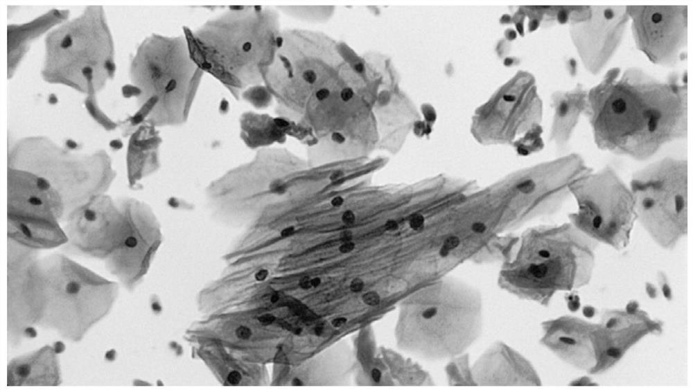 Papanicolaou staining kit and its staining method