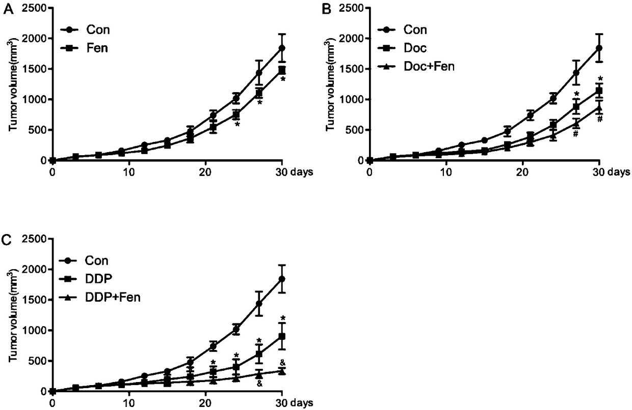 Application of fenofibrate single medicine and combined chemotherapy medicine to preparation of antitumor medicine