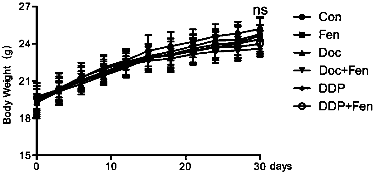 Application of fenofibrate single medicine and combined chemotherapy medicine to preparation of antitumor medicine