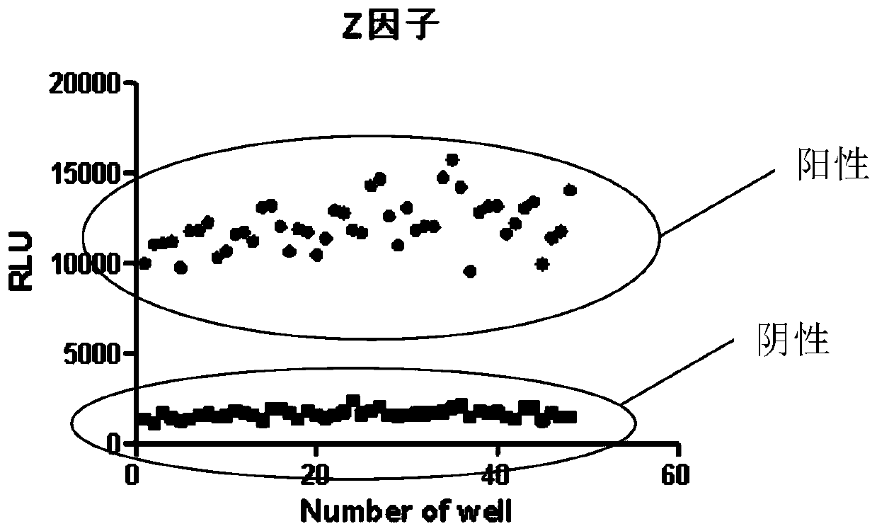 Method for rapidly detecting activity of CDK9/CyclinT1 enzyme and application of method