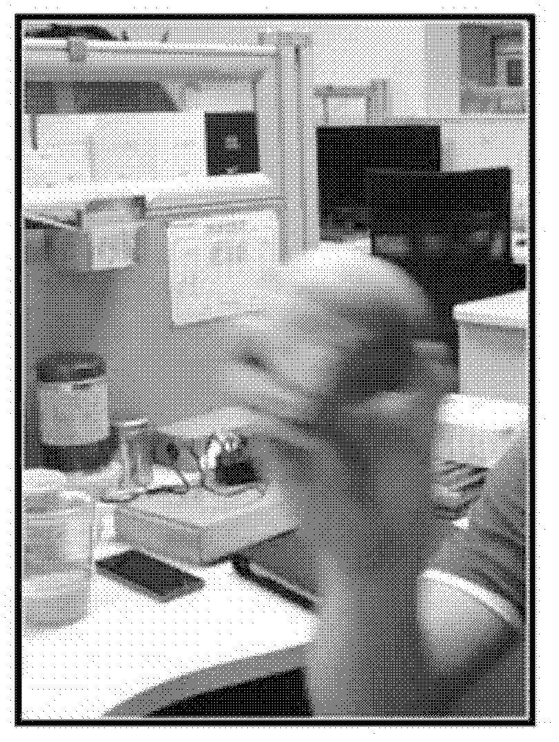 Video optimization method and information processing equipment