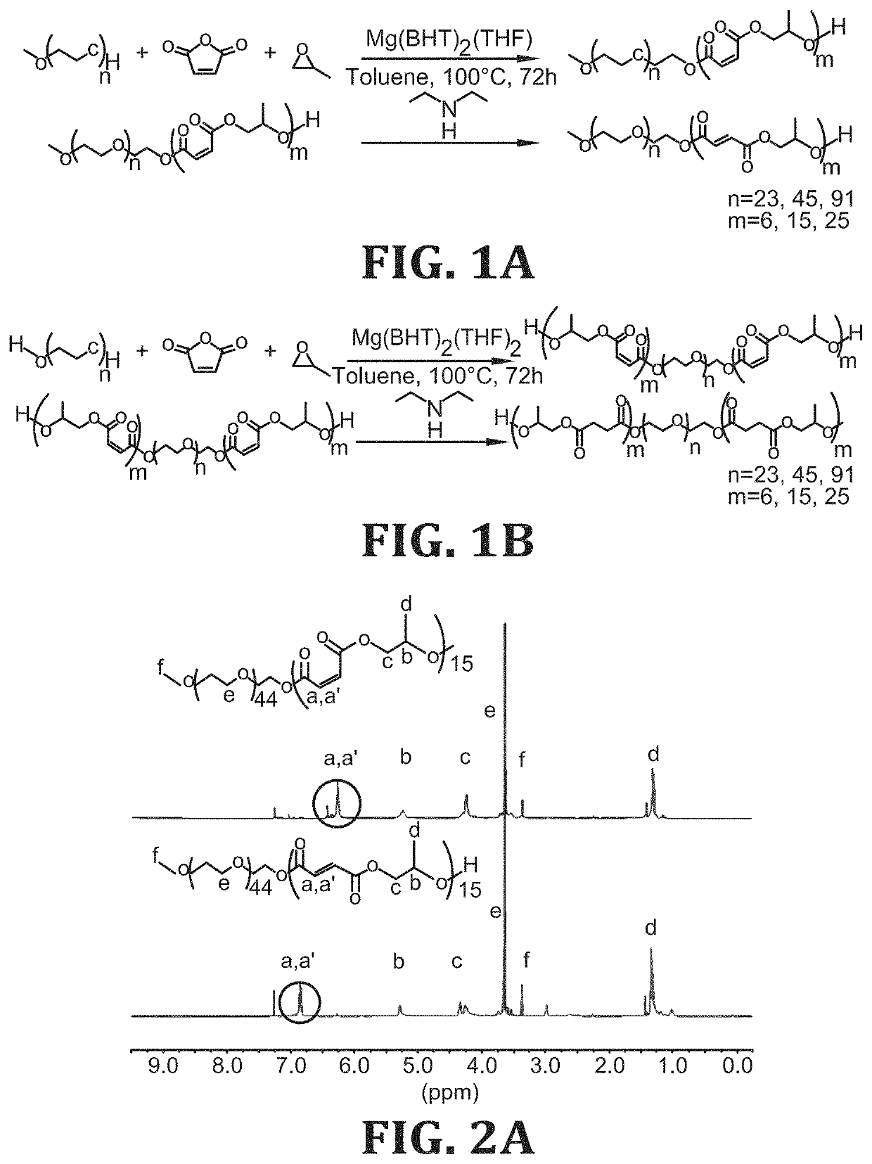 Synthesis and characterization of well defined poly(propylene fumarate) and poly (ethylene glycol) block copolymers