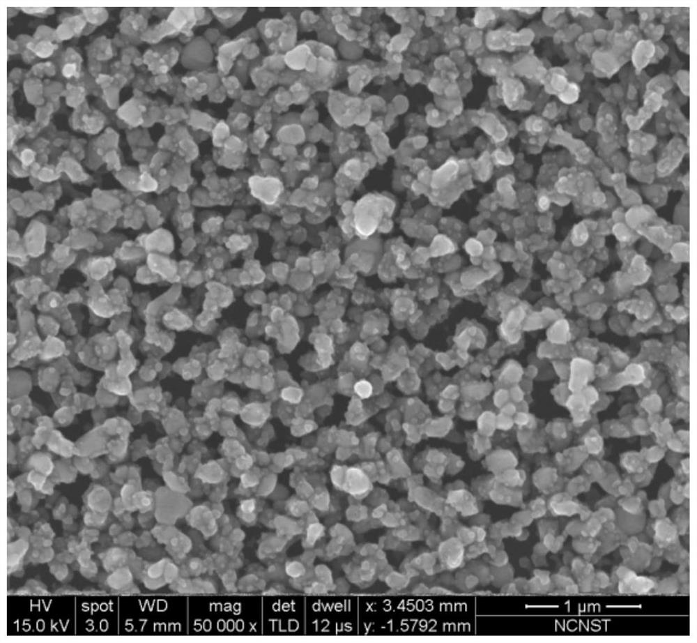 A surface-enhanced Raman substrate and its preparation method