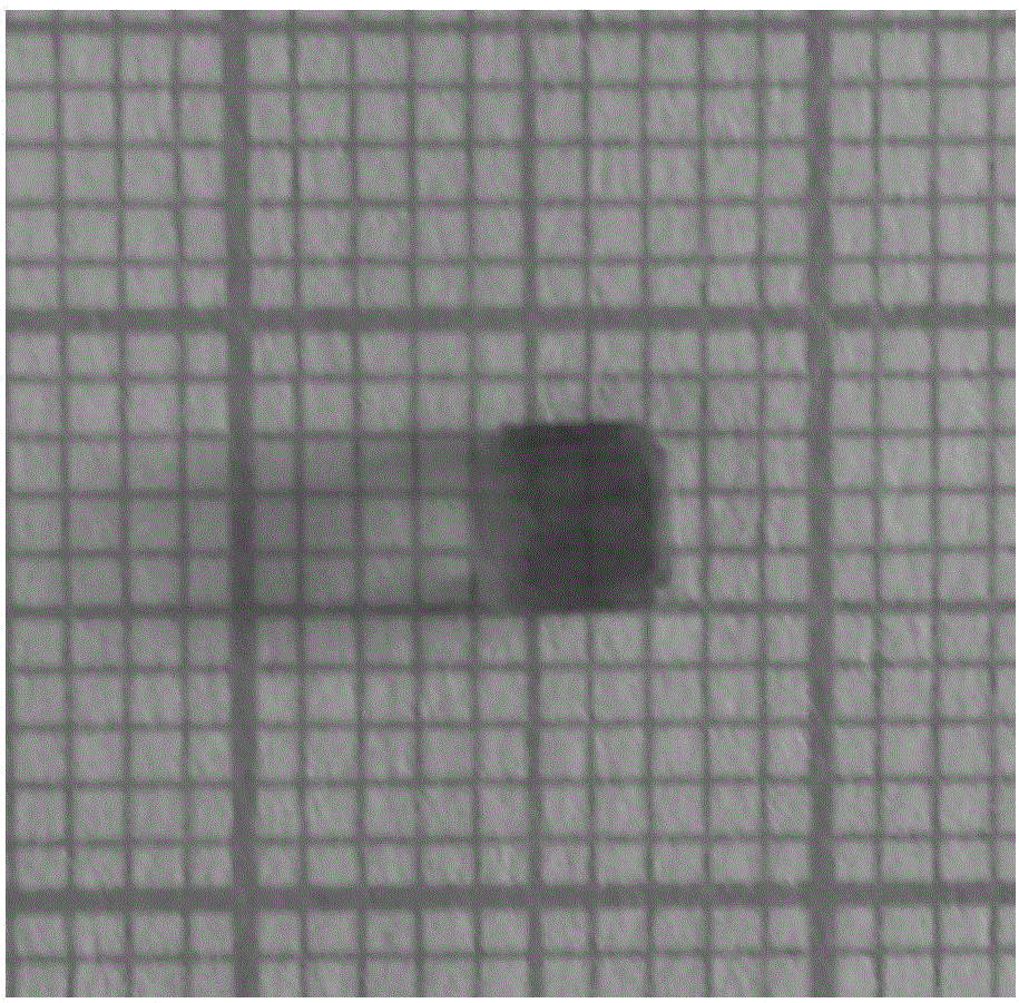 Organic-inorganic hybrid semi-conductive dicyclohexyl-imine bismuth bromide compound and crystal and preparation method and use thereof