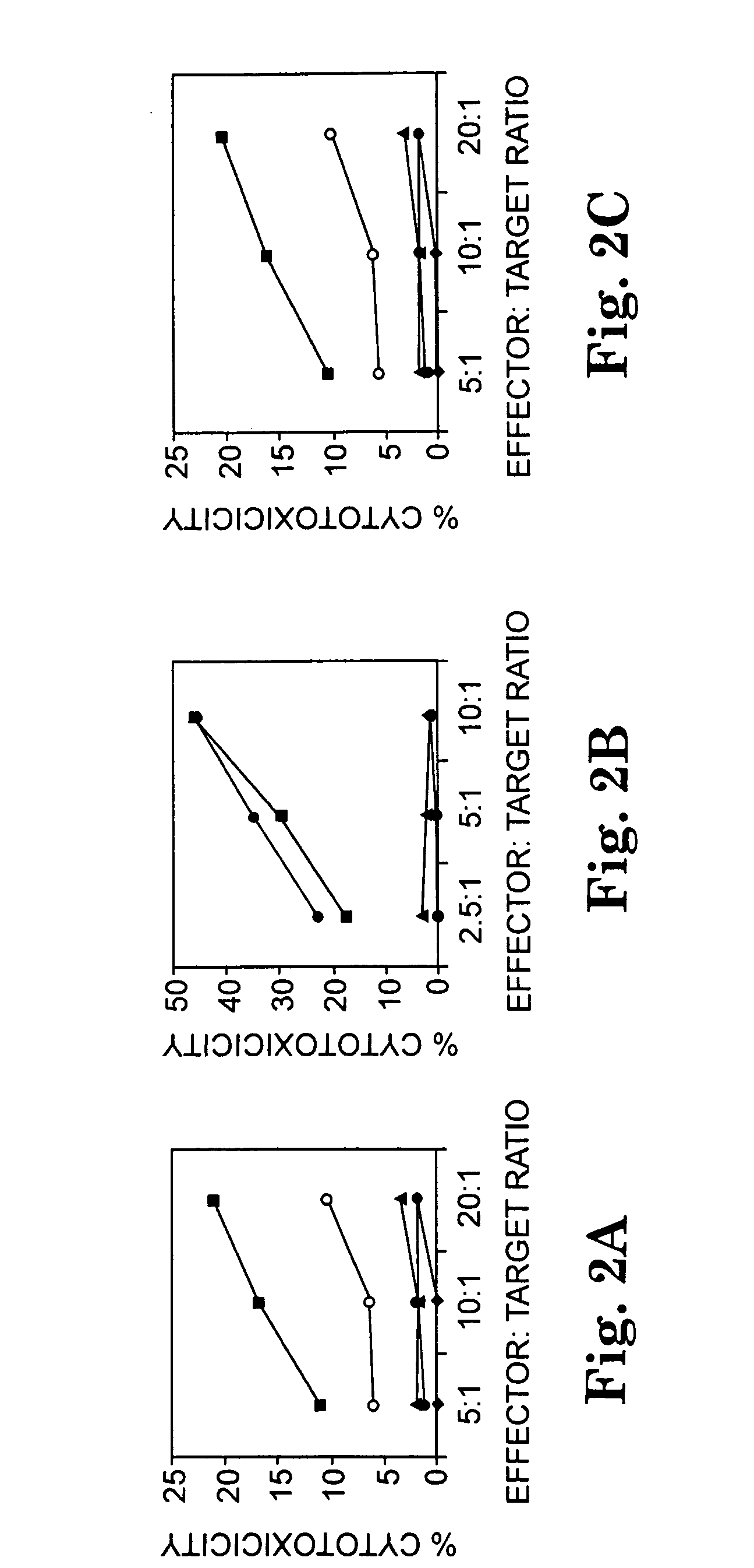 Multi-epitope peptide-loaded dendritic cell immunotherapy for cancer