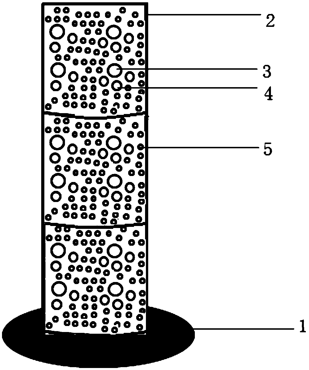 Bigfin reef squid cylindrical spawning adhering substrate