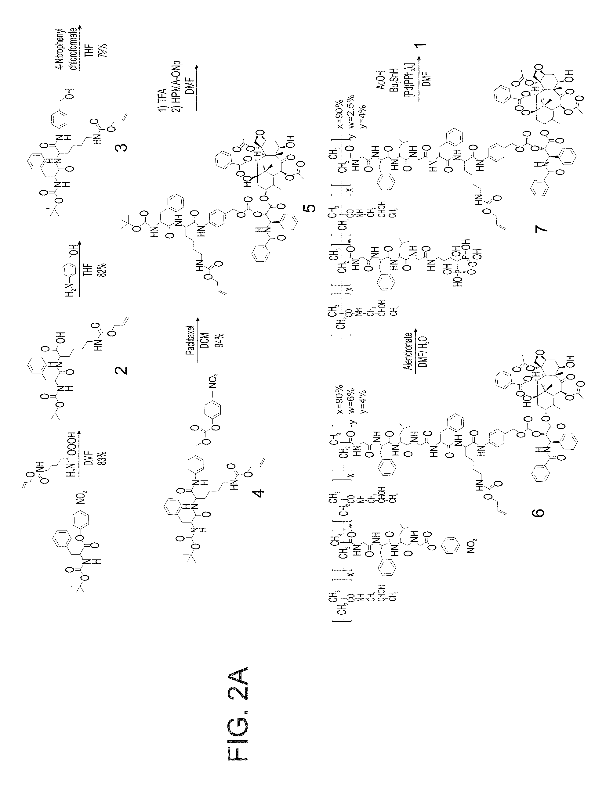 Conjugates of a polymer, a bisphosphonate and an anti-angiogenesis agent and uses thereof in the treatment and monitoring of bone related diseases