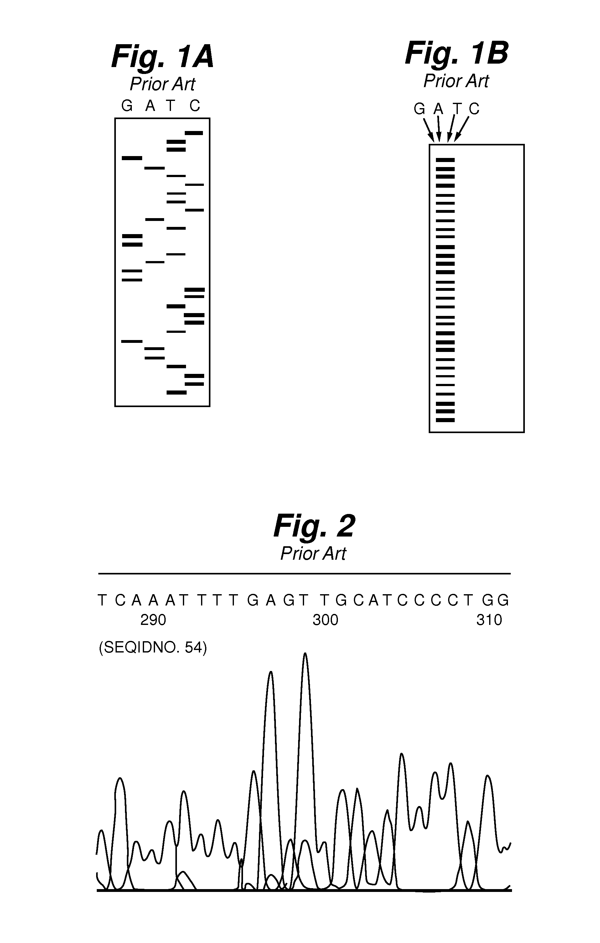 System and method for nucleotide sequence profiling for sample identification