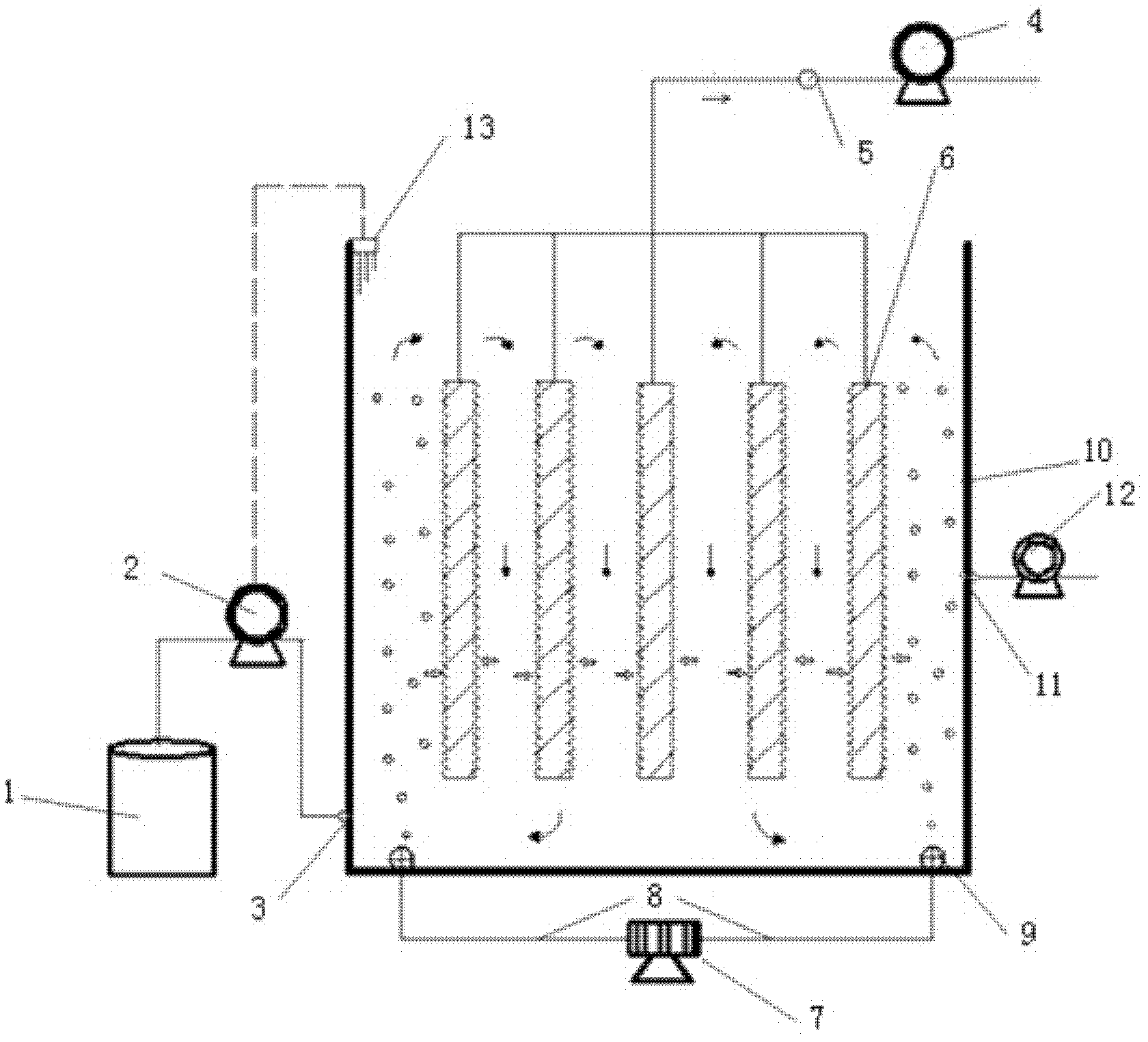 Biological membrane-activated sludge composite membrane bioreactor for denitrification and water treatment method using same