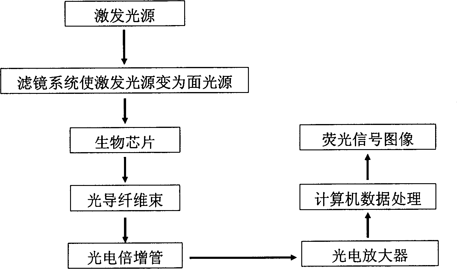 Low density biochip detection method and its system