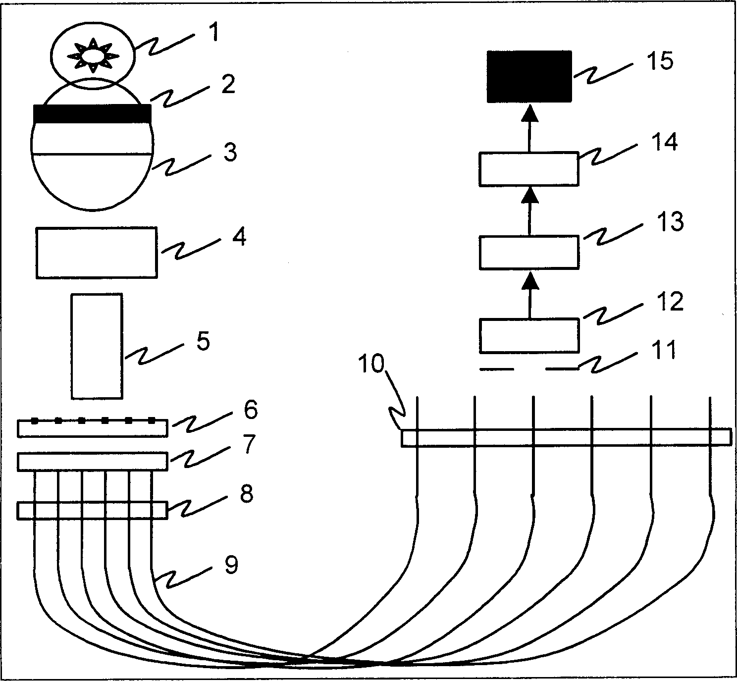 Low density biochip detection method and its system