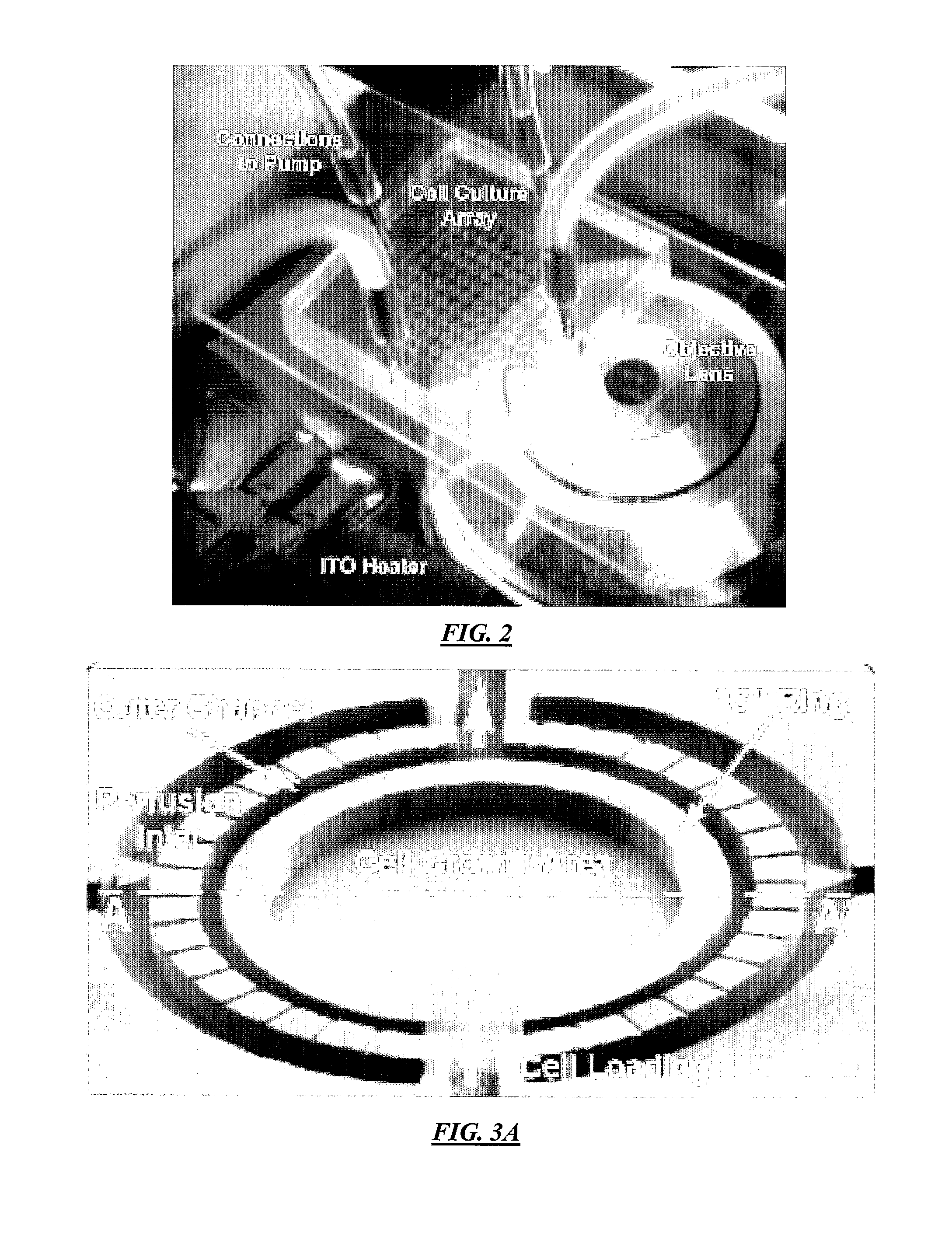 Methods and apparatus for cell culture array