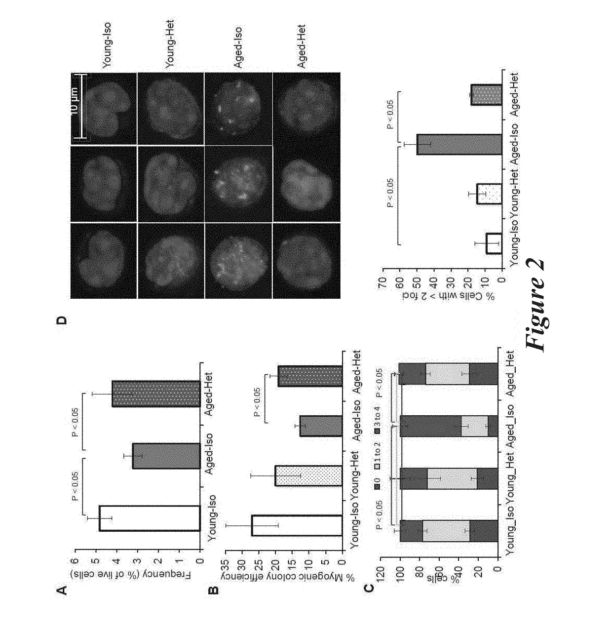 Methods and compositions for rejuvenating skeletal muscle stem cells