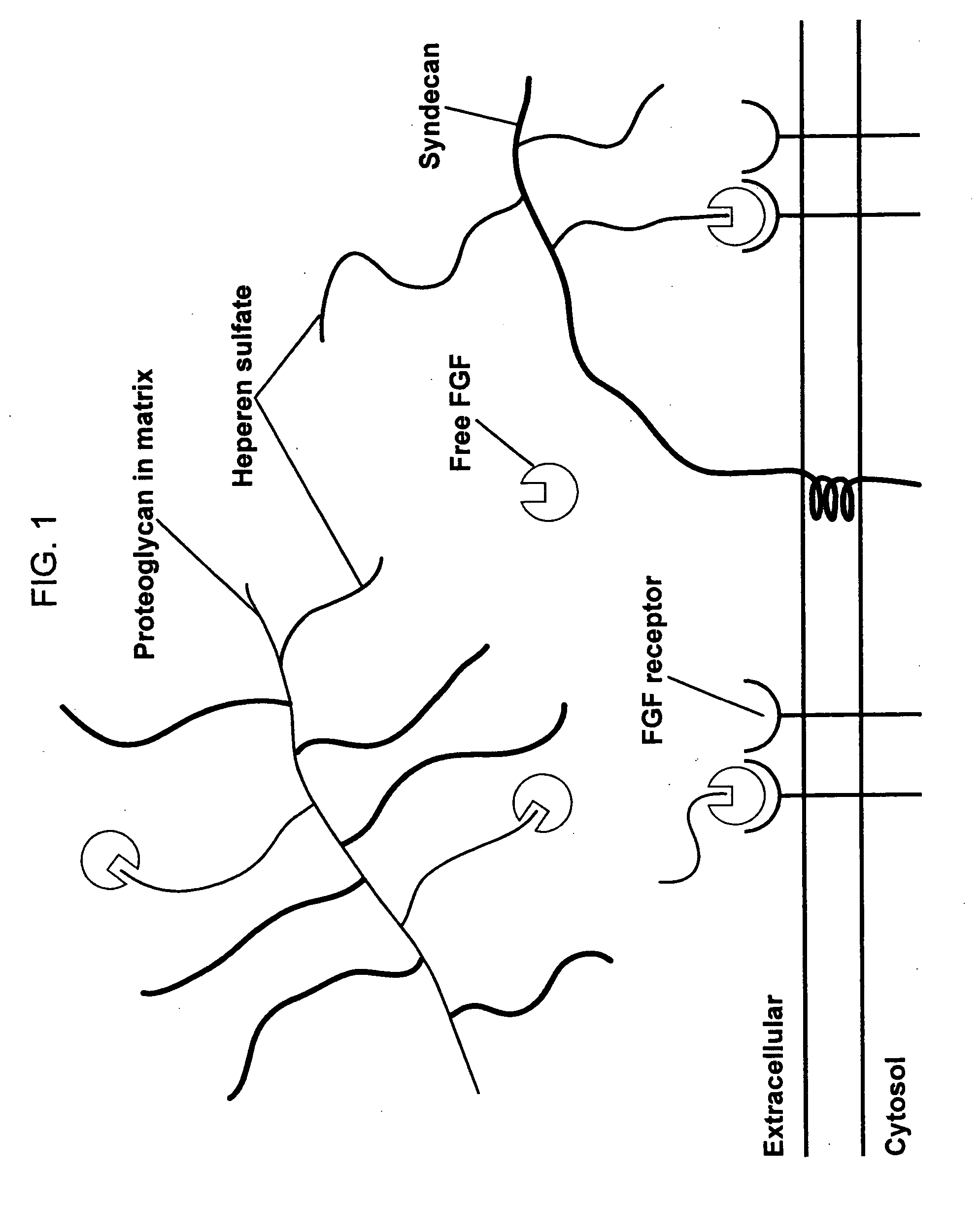 Compositions for regenerating defective or absent myocardium