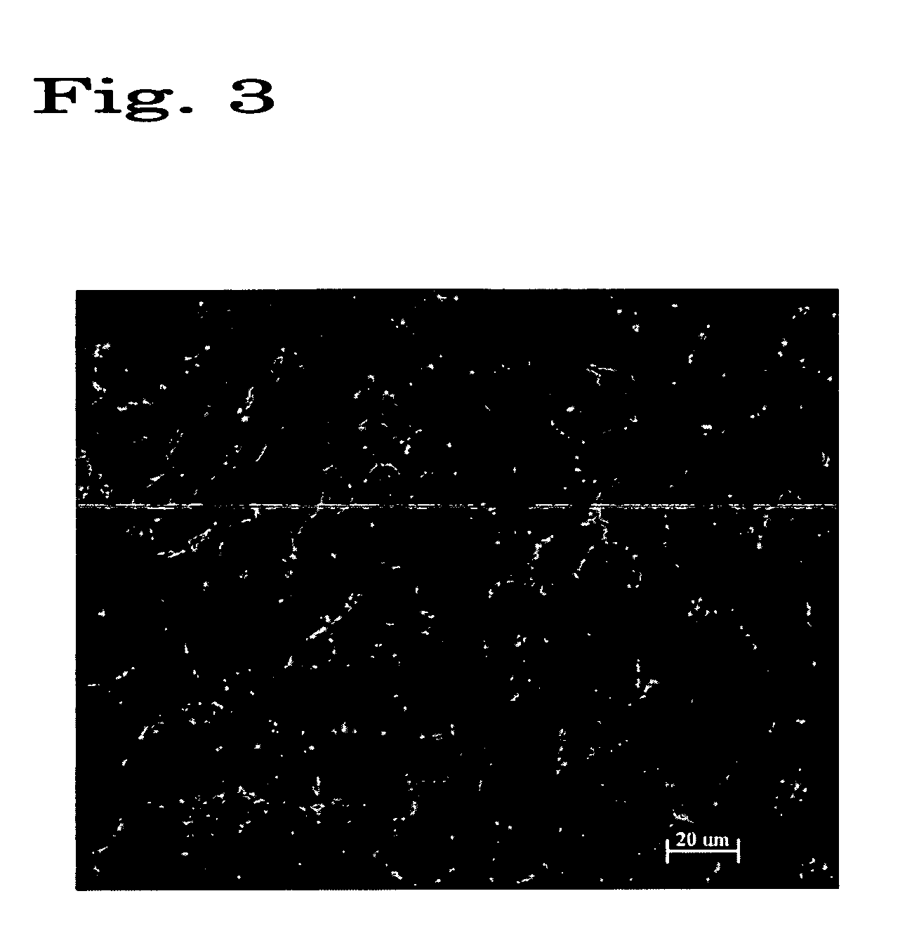 Regenerated corneal endothelial cell sheets, processes for producing the same, and methods of using the same