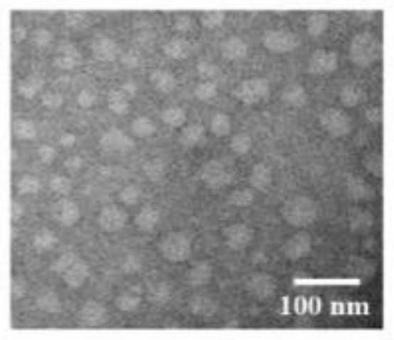 A kind of nanoparticle targeting whole-body multilevel lymph nodes, preparation method and application