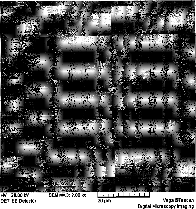 Trimethyl-silyl polysilsesquioxane particle reinforced type tin-silver-copper composite soldering paste and preparation method thereof