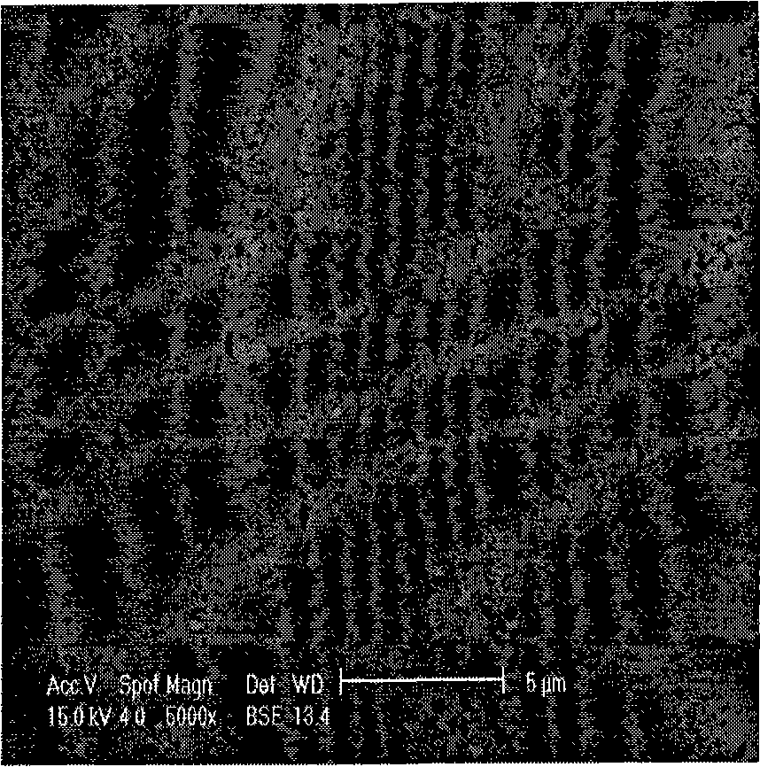 Trimethyl-silyl polysilsesquioxane particle reinforced type tin-silver-copper composite soldering paste and preparation method thereof