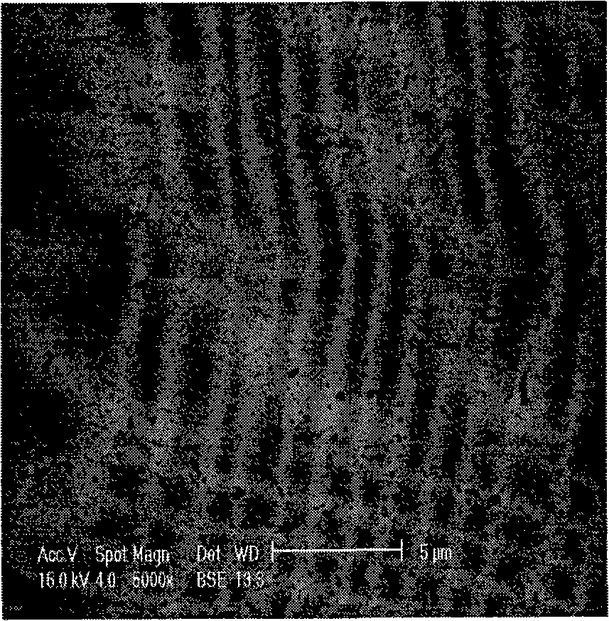 Trimethyl-silyl polysilsesquioxane particle reinforced type tin-silver-copper composite soldering paste and preparation method thereof