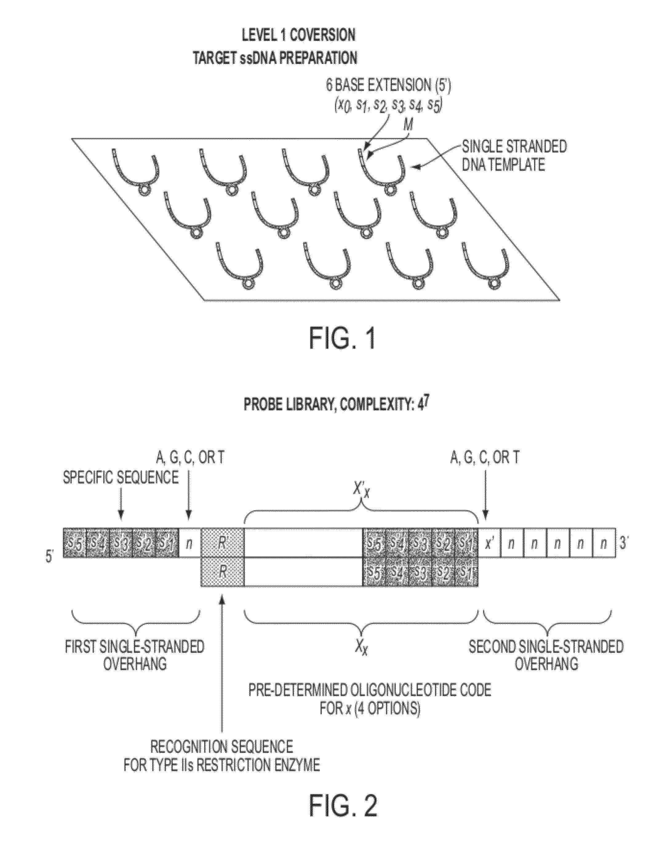 Sequence preserved DNA conversion