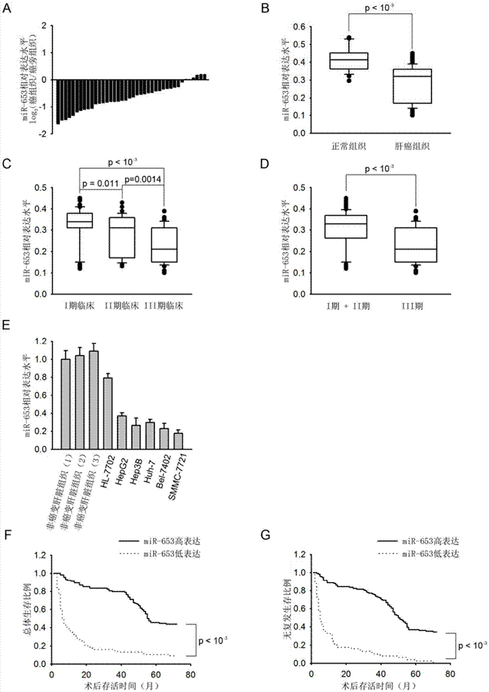 Kit for postoperative and prognosis evaluation of liver cancer and liver cancer chemosensitizer