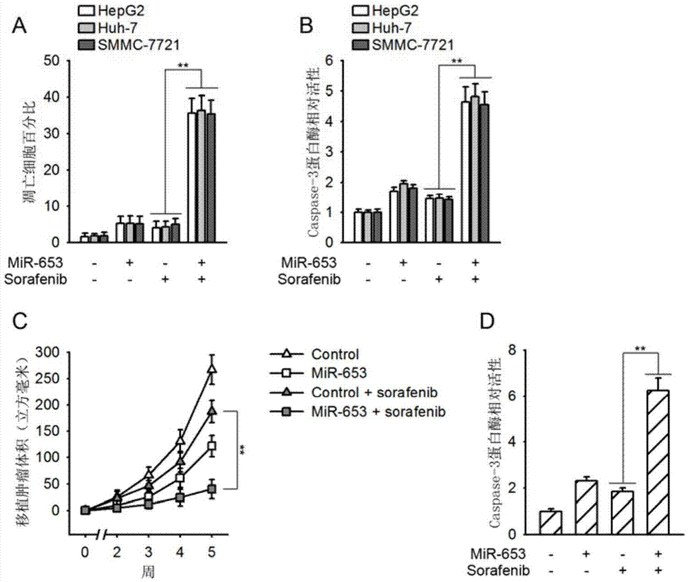 Kit for postoperative and prognosis evaluation of liver cancer and liver cancer chemosensitizer