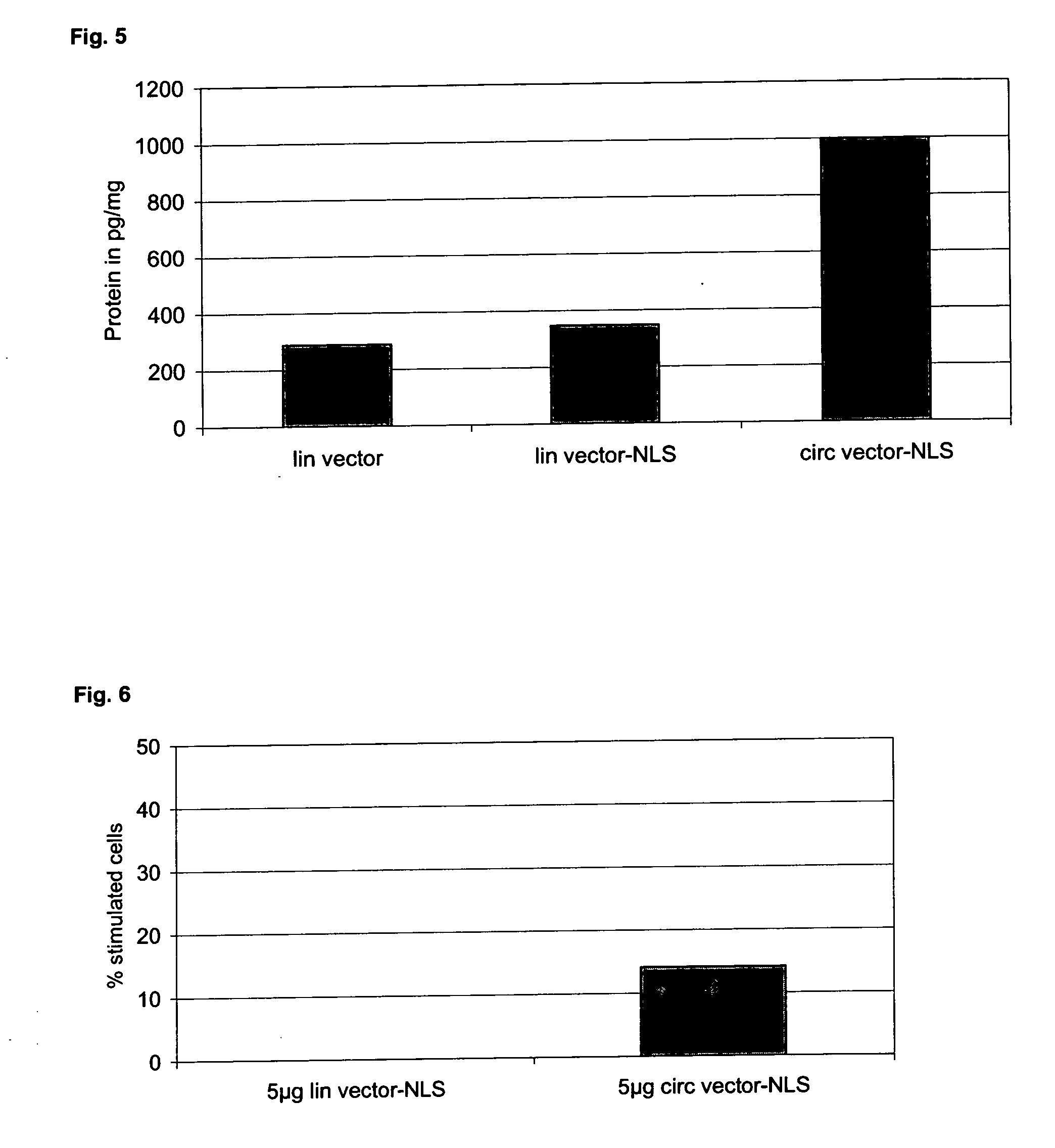 Circular expression construct for gene therapeutic applications