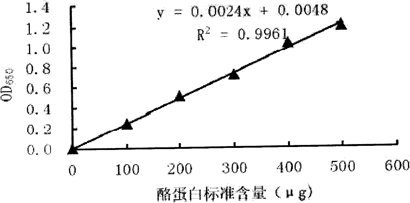 Bacillus cereus strain, pyrethroid pesticide degrading enzyme prepared using same and preparation method of pyrethroid pesticide degrading enzyme