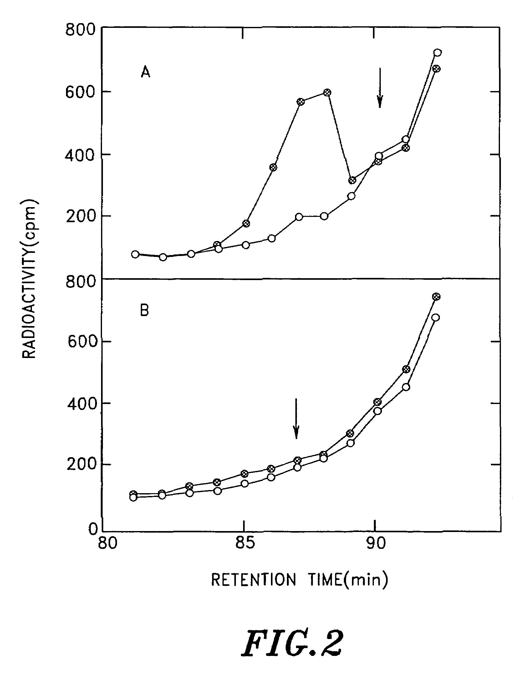 Antibody that reacts with 6-sulfated sialyl Lewis X