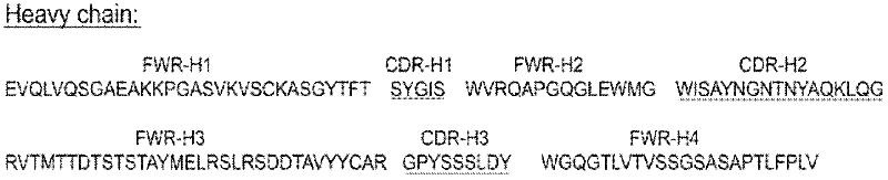 Immune nano-carrier for conveying siRNA (small interfering Ribonucleic Acid) and preparation method and application thereof