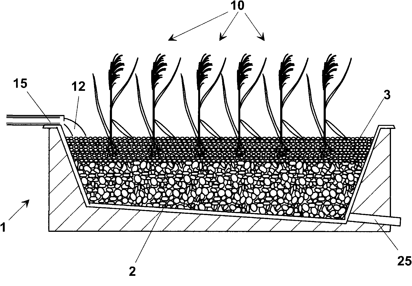 Process for biostabilization and humification of biological sludge in planted filtering beds