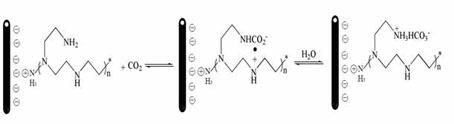 Halloysite carbon dioxide adsorbent and preparation method thereof