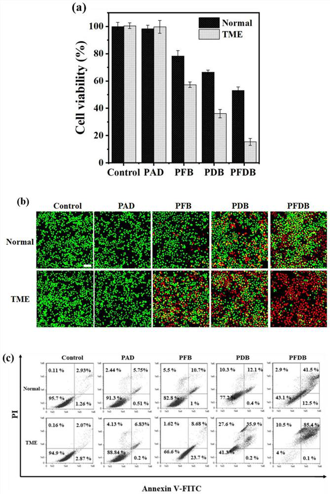 Microenvironment response type nano composite material for efficiently removing tumor cells as well as preparation method and application of nano composite material