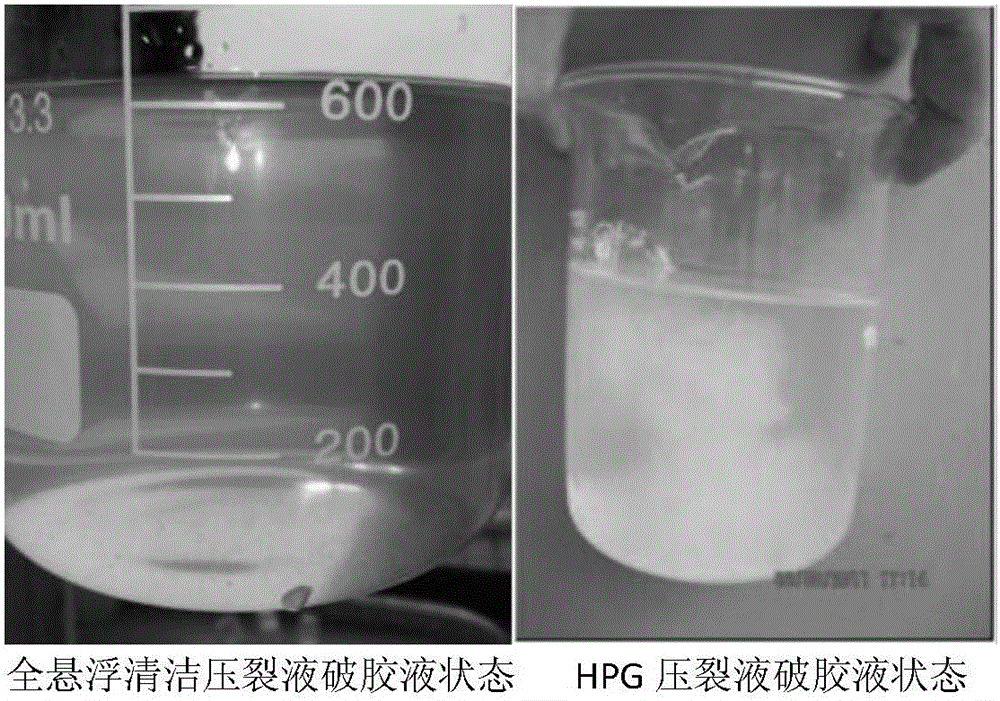 Full-suspension cleaning polymer fracturing fluid and preparation method thereof