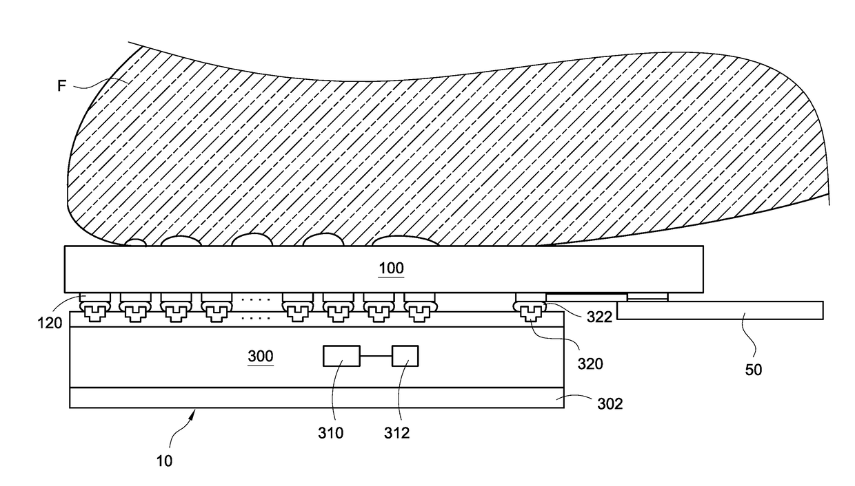 Fingerprint recognition apparatus