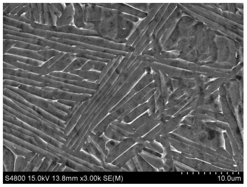 Microstructure regulation and control method for high-energy beam metal additive manufacturing