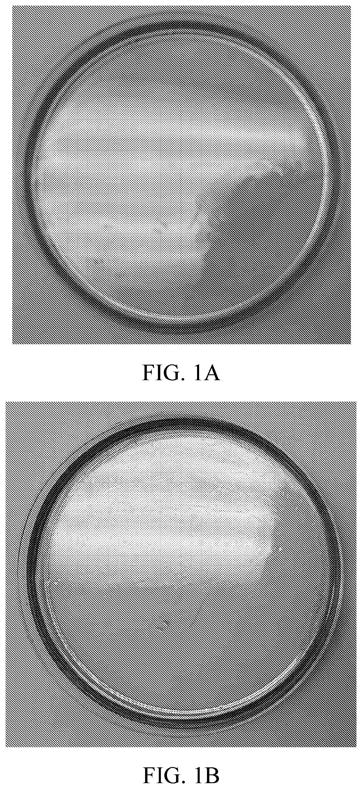 Novel Methods for Production of Mannosylerythritol Lipids