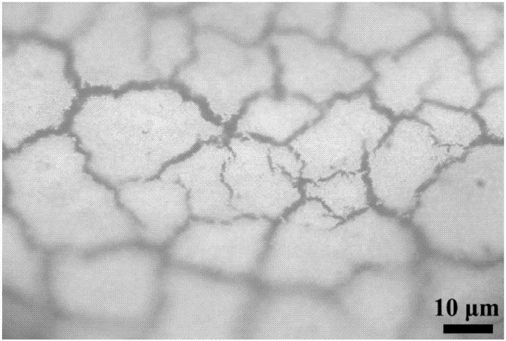 Preparation method of two-dimensional molybdenum selenide function material electrolysis water hydrogen production catalyst