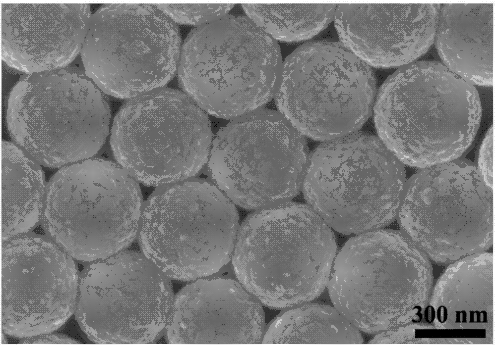 Preparation method of two-dimensional molybdenum selenide function material electrolysis water hydrogen production catalyst