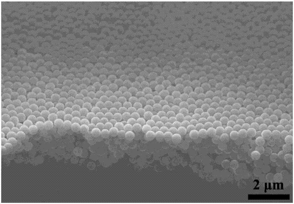 Preparation method of two-dimensional molybdenum selenide function material electrolysis water hydrogen production catalyst