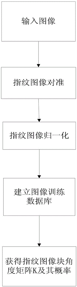 Method for Extracting Orientation Field of Markov Random Field Fingerprint Based on Prior Knowledge