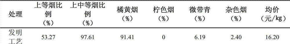 Accurate NC55 tobacco variety bulk curing process