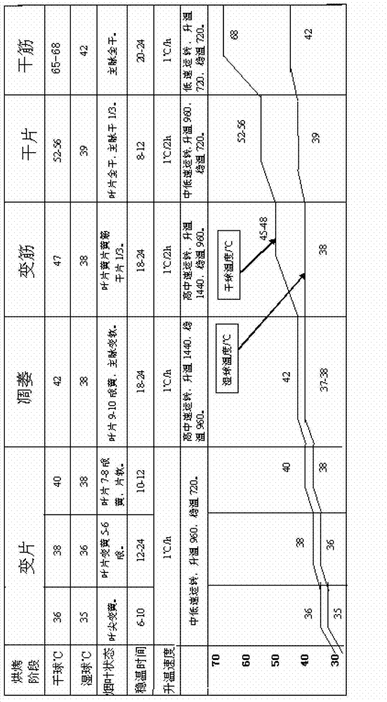 Accurate NC55 tobacco variety bulk curing process