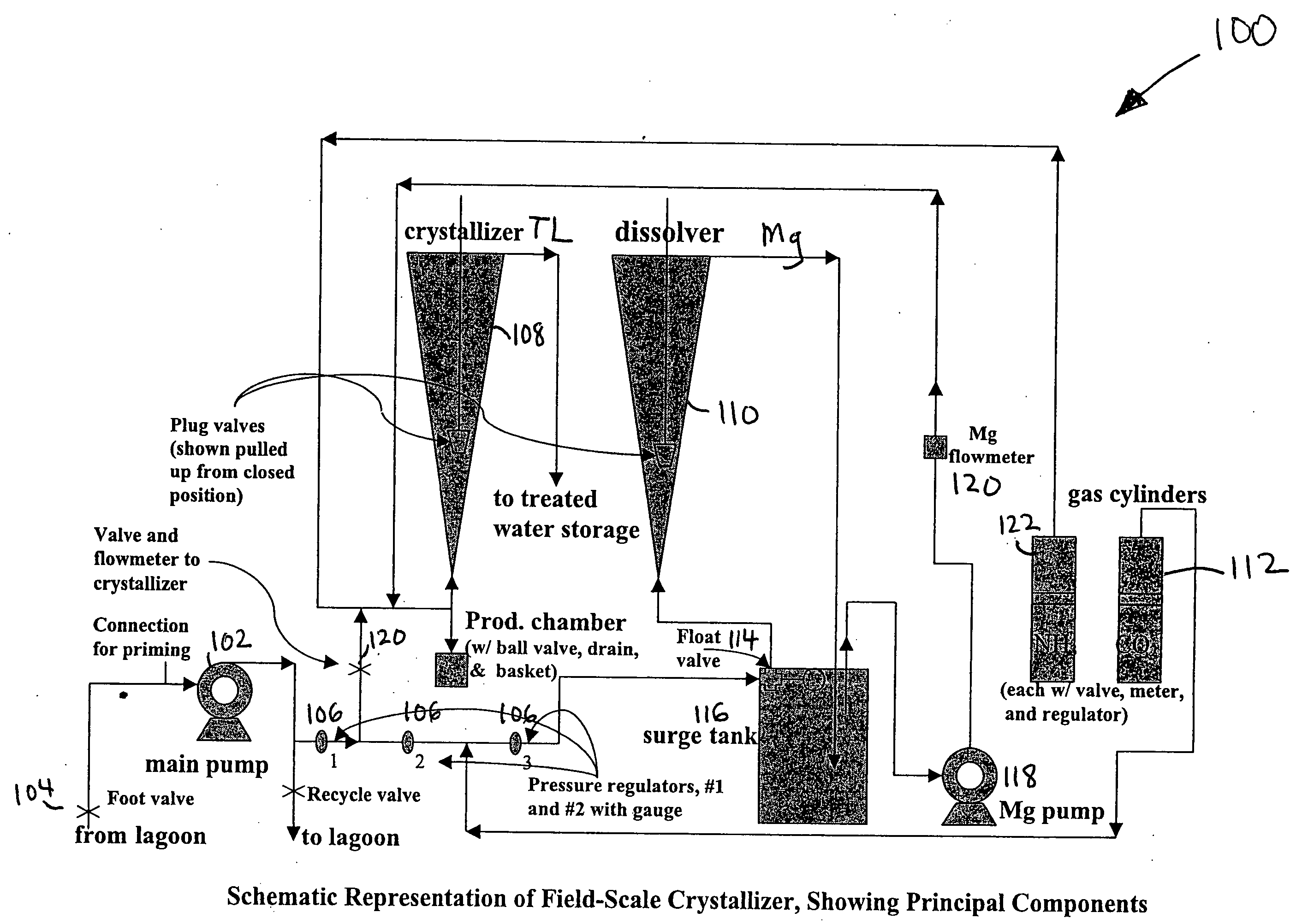 Apparatus and method for removing phosphorus from waste lagoon effluent