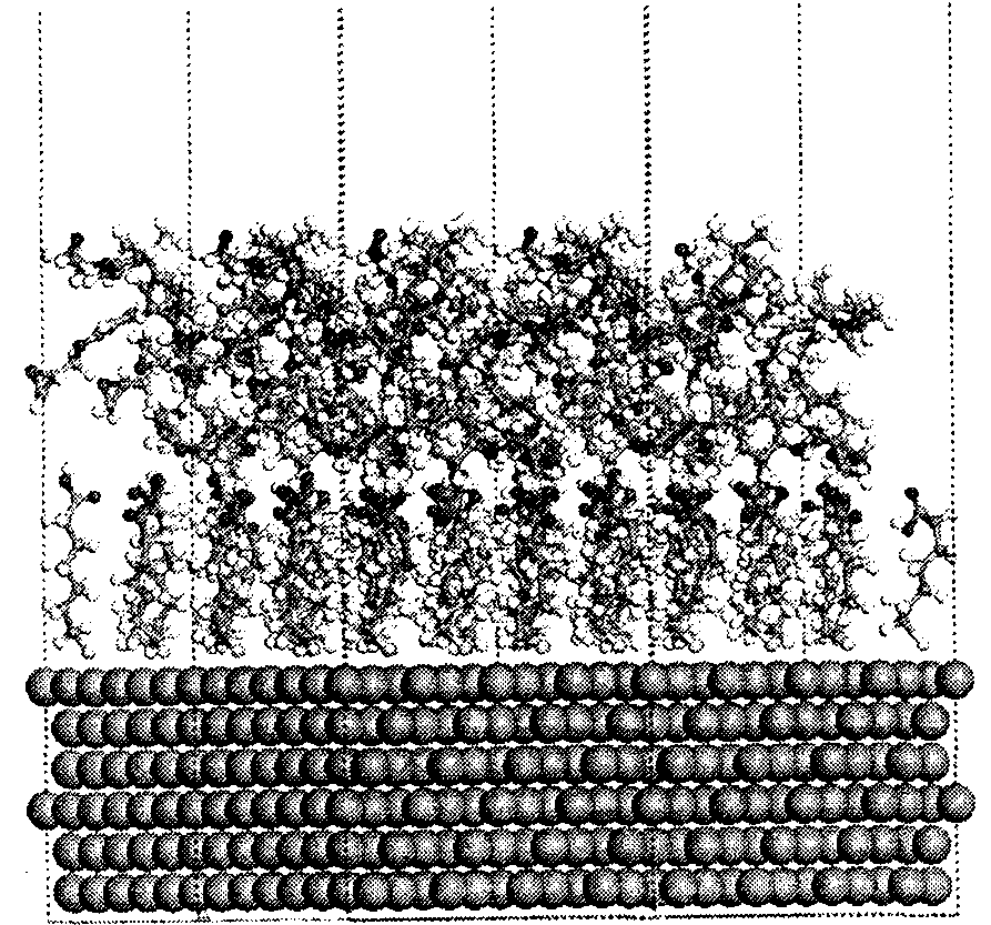 Method for characterizing epoxy resin composite material interface mechanism