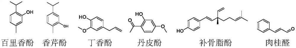 Pesticide composition containing pseudolaric acid and application of pesticide composition to prevention and treatment of plant diseases