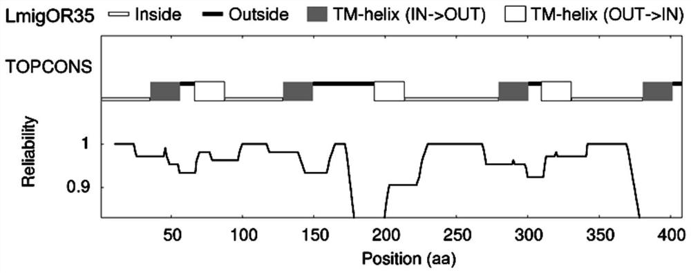 Odor receptor derived peptide capable of effectively monitoring oriental migratory locust and biosensor thereof