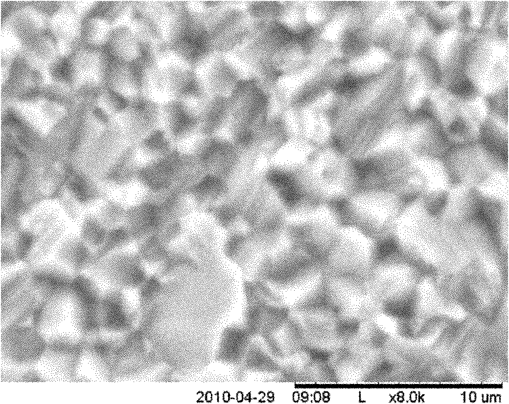 Preparation method of compact magnesia ceramics by sintering